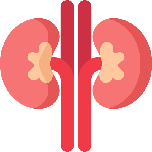 কিডনি রোগ বিশেষজ্ঞ (Nephrologist)